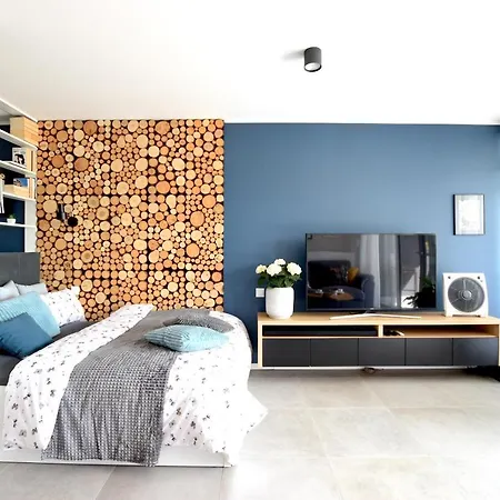 F2 - Bukowa Gora, Apartman